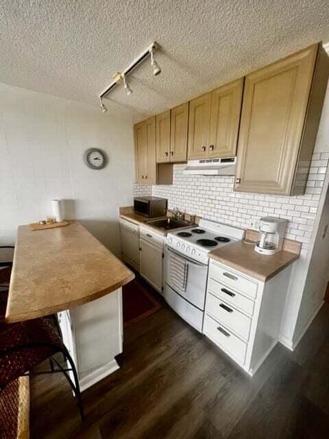 kitchen featuring decorative backsplash, dark wood-style floors, white electric range, under cabinet range hood, and rail lighting