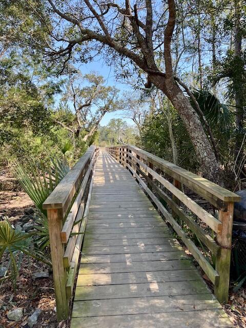 2217 Beckenham Dr, Mount Pleasant, SC 29466 - view of community