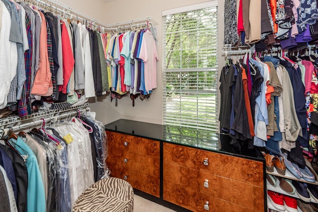 477 Commonwealth Rd, Mount Pleasant, SC 29466 - view of spacious closet