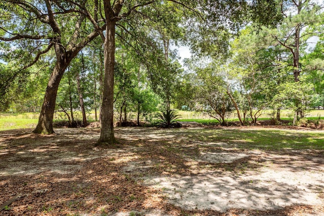 477 Commonwealth Rd, Mount Pleasant, SC 29466 - view of yard
