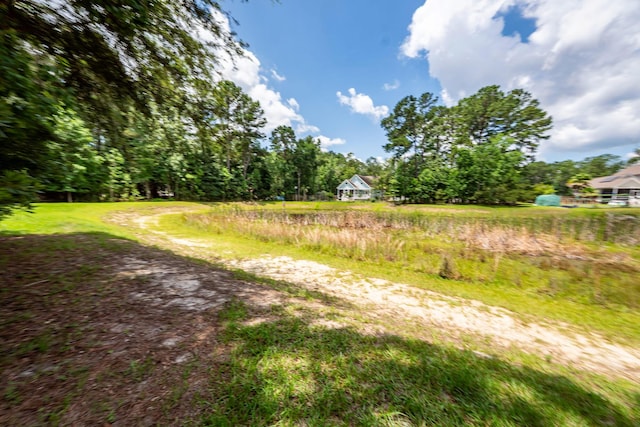 477 Commonwealth Rd, Mount Pleasant, SC 29466 - view of yard