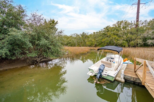 231 Bayview Dr, Mount Pleasant, SC 29464 - dock area with a water view