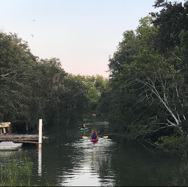 231 Bayview Dr, Mount Pleasant, SC 29464 - water view with a boat dock and a heavily wooded area