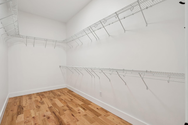 walk in closet featuring hardwood / wood-style flooring