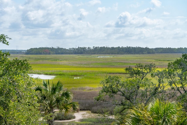 591 Island Walk E, Mount Pleasant, SC 29464 - view of yard featuring a water view and a view of rural / pastoral area