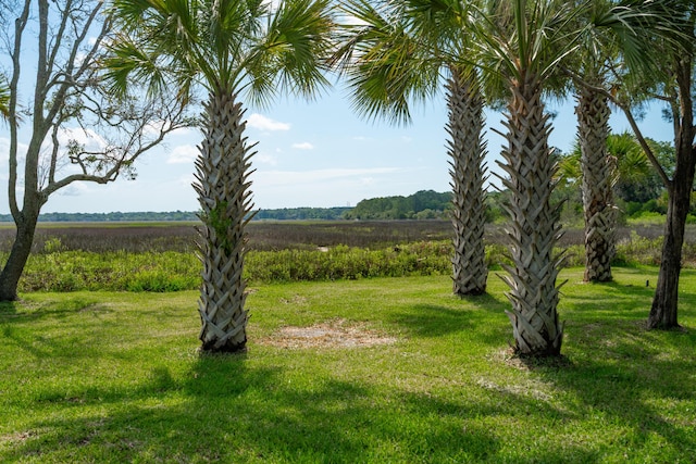 591 Island Walk E, Mount Pleasant, SC 29464 - view of green lawn featuring a view of countryside