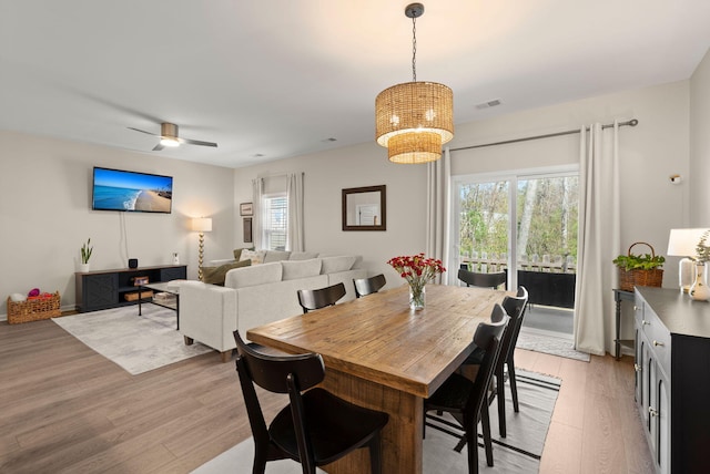 dining space with visible vents, a ceiling fan, and light wood finished floors