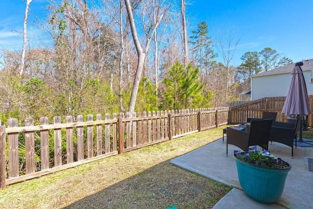 view of yard featuring a patio area and a fenced backyard