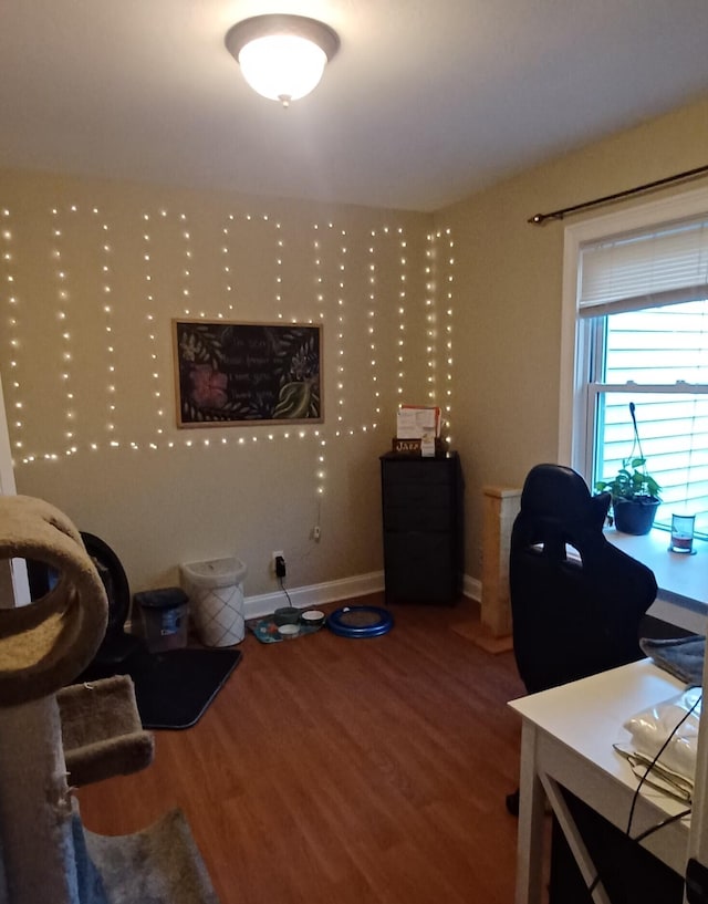 office area featuring hardwood / wood-style floors