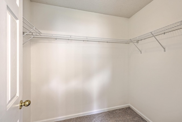 206 Barnwell St, Summerville, SC 29483 - spacious closet with carpet