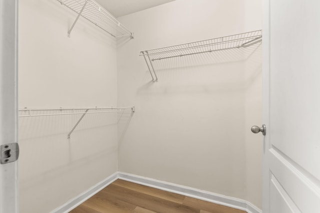 spacious closet featuring hardwood / wood-style floors