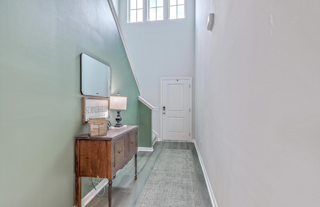302 Fox Gap Rd, Summerville, SC 29486 - doorway featuring wood finished floors, baseboards, and a towering ceiling
