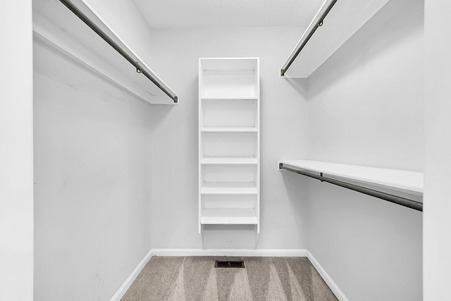 spacious closet featuring carpet