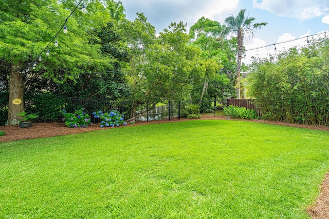 544 Two Mile Run, Johns Island, SC 29455 - view of yard