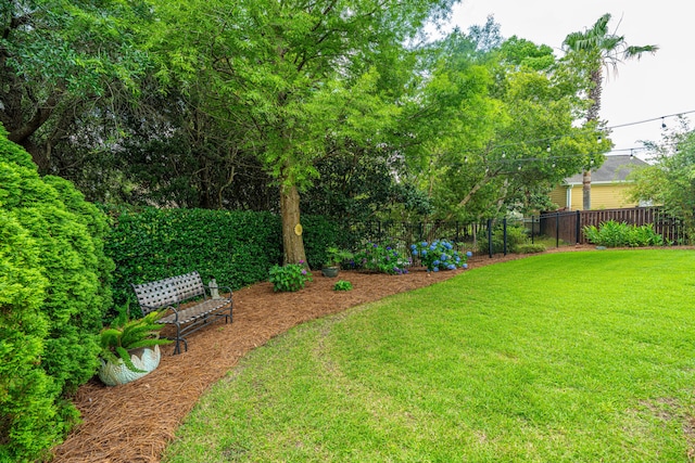 544 Two Mile Run, Johns Island, SC 29455 - view of yard