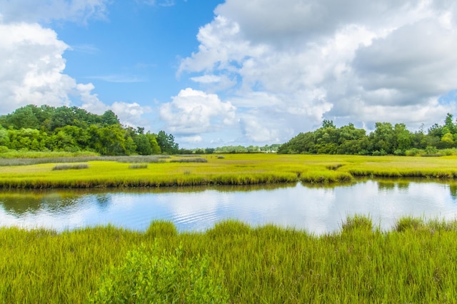 544 Two Mile Run, Johns Island, SC 29455 - water view