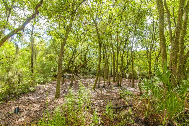 544 Two Mile Run, Johns Island, SC 29455 - view of nature