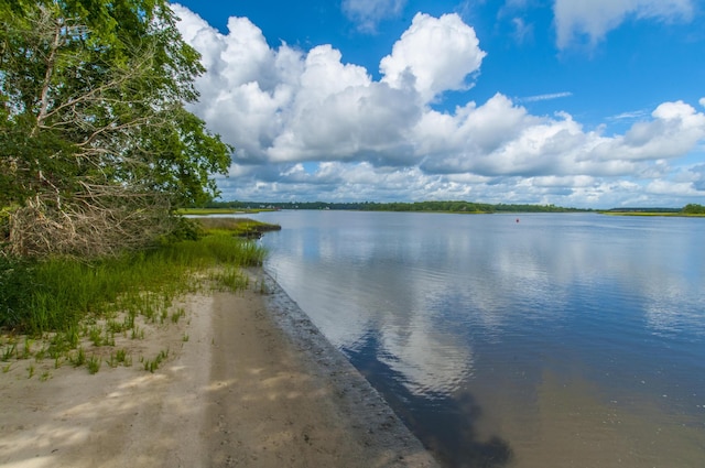 544 Two Mile Run, Johns Island, SC 29455 - water view