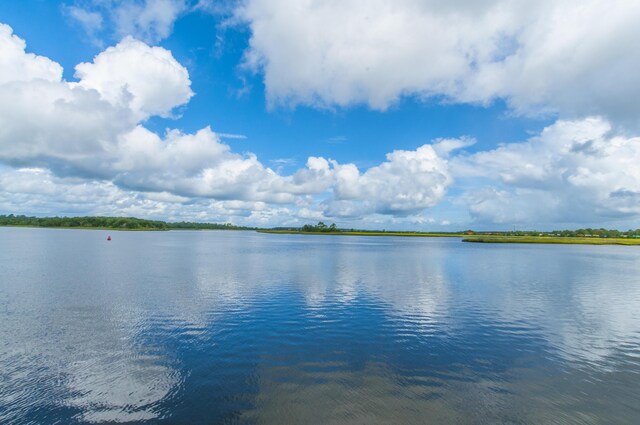 544 Two Mile Run, Johns Island, SC 29455 - water view