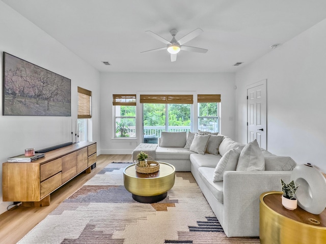 living room with ceiling fan and light hardwood / wood-style flooring