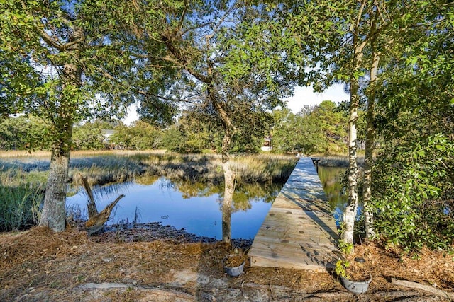 dock area featuring a water view