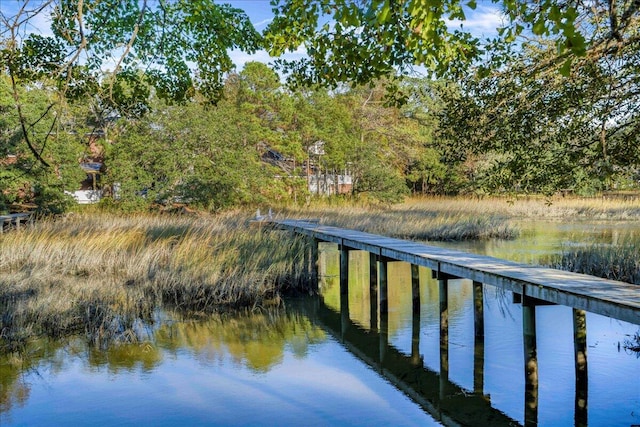 dock area with a water view