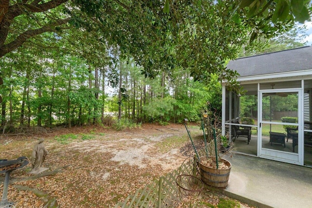 view of yard featuring a patio and a sunroom