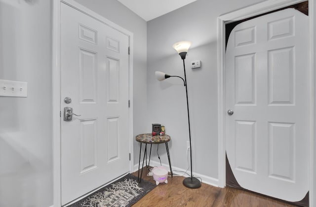 entrance foyer featuring dark wood-type flooring