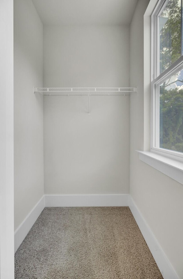 3041 Robeson Trce, Johns Island, SC 29455 - spacious closet with carpet