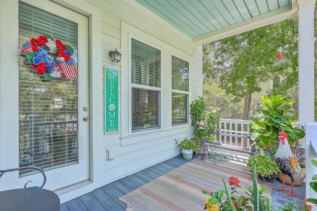 129 Howard Mary Dr Unit A, Charleston, SC 29412 - view of exterior entry with a porch