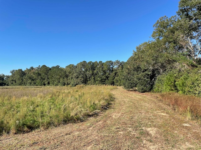 0 Mary Rd, Salters SC, 29590 land for sale