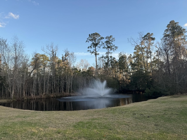 view of water feature