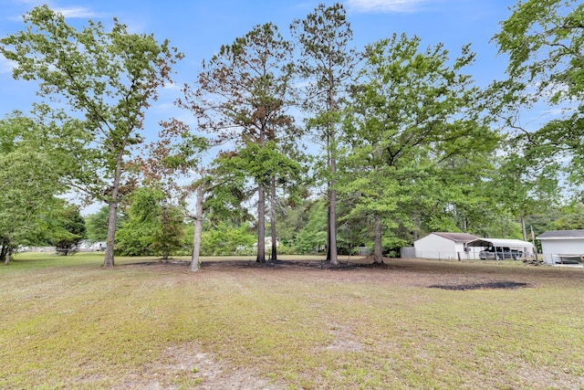 119 Silver King Ave, Cross, SC 29436 - view of yard with a detached carport and fence