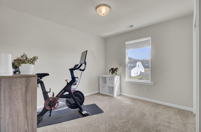 workout area with light carpet