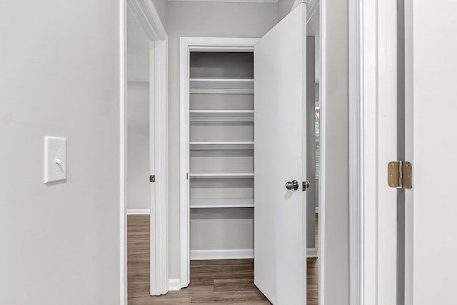 view of closet