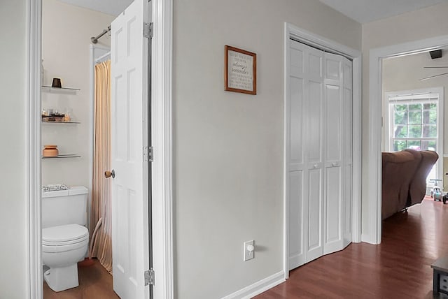 interior space featuring dark wood-type flooring