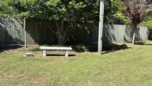 view of yard with a fenced backyard