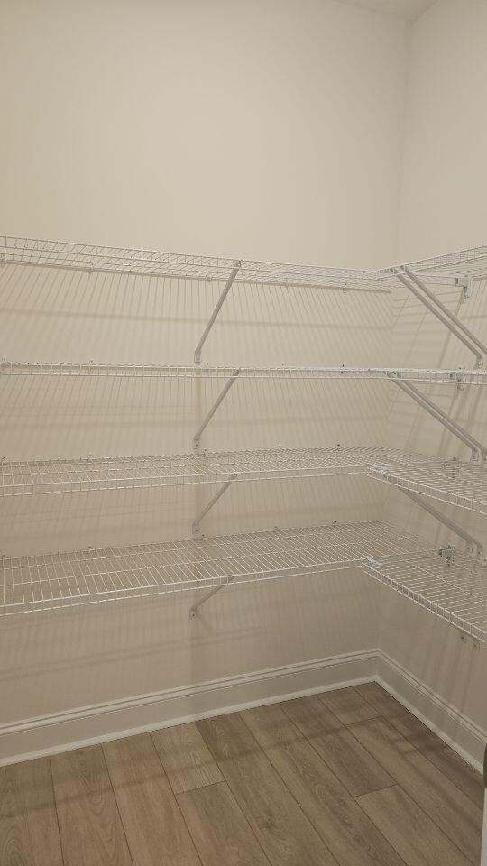 259 Huguenot Trl, Huger, SC 29450 - view of pantry