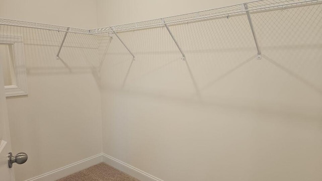 259 Huguenot Trl, Huger, SC 29450 - walk in closet with carpet floors