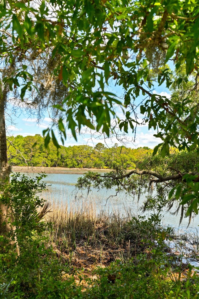 2538 Helmsman Rd, Johns Island, SC 29455 - property view of water