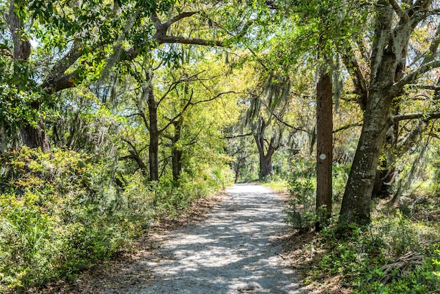 2538 Helmsman Rd, Johns Island, SC 29455 - view of street featuring a view of trees
