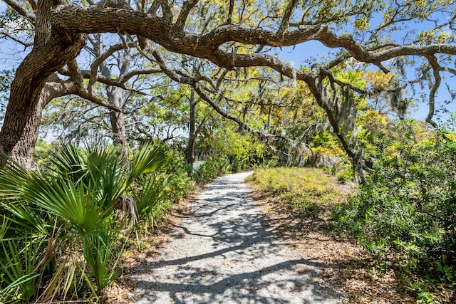 2538 Helmsman Rd, Johns Island, SC 29455 - view of road