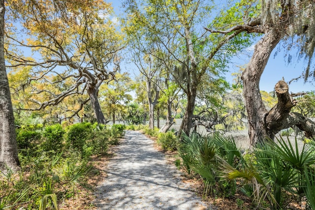 2538 Helmsman Rd, Johns Island, SC 29455 - view of home's community