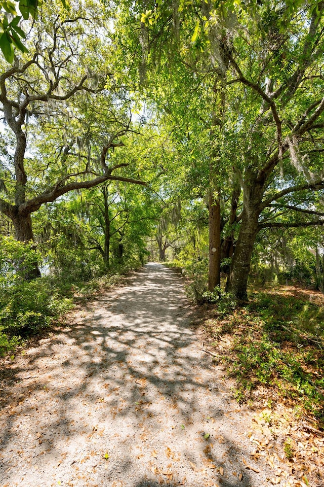2538 Helmsman Rd, Johns Island, SC 29455 - view of road featuring a wooded view