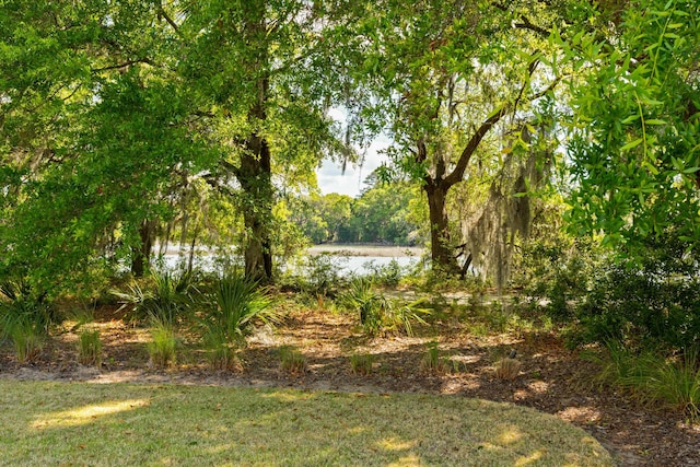 2538 Helmsman Rd, Johns Island, SC 29455 - view of yard with a water view
