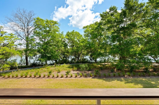 2538 Helmsman Rd, Johns Island, SC 29455 - view of yard