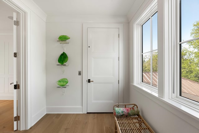 2538 Helmsman Rd, Johns Island, SC 29455 - doorway with baseboards, light wood-type flooring, and a healthy amount of sunlight