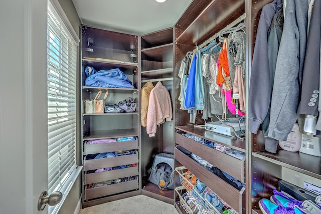 view of walk in closet