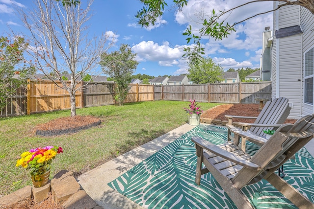 view of yard with a patio and a fenced backyard
