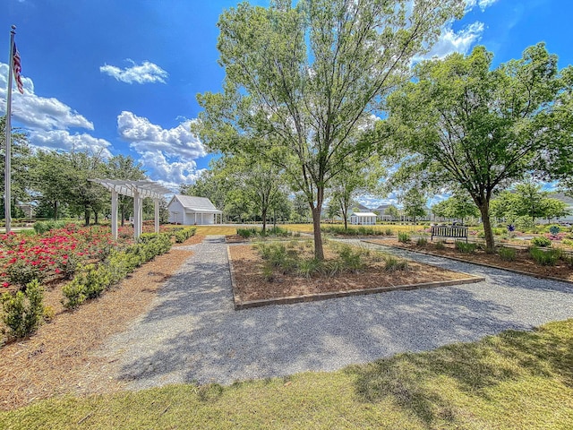 view of yard featuring a pergola